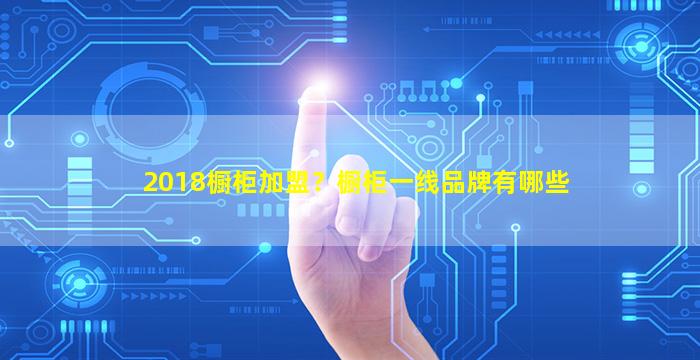 2018橱柜加盟？橱柜一线品牌有哪些