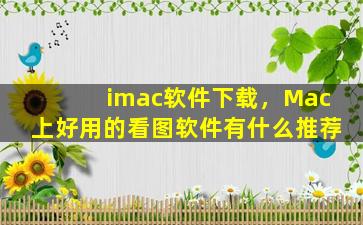 imac软件下载，Mac上好用的看图软件有什么推荐