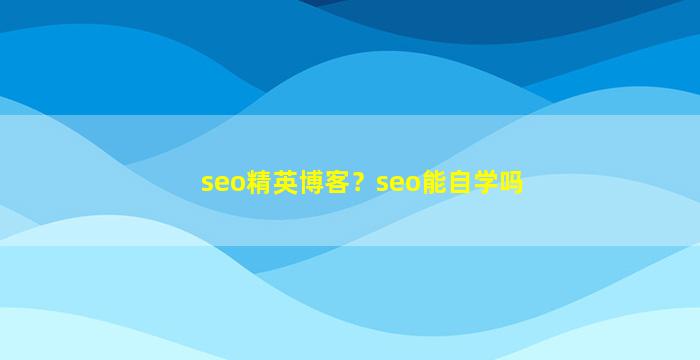 seo精英博客？seo能自学吗