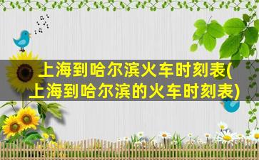 上海到哈尔滨火车时刻表(上海到哈尔滨的火车时刻表)