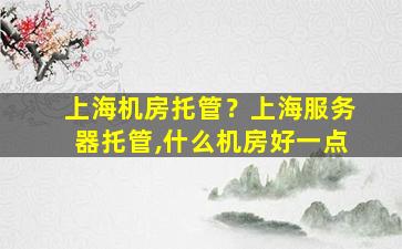上海机房托管？上海服务器托管,什么机房好一点