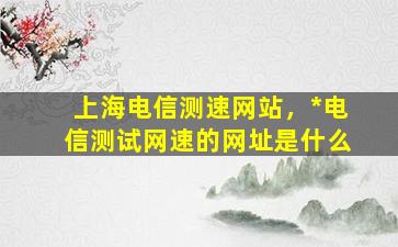 上海电信测速网站，*电信测试网速的网址是什么