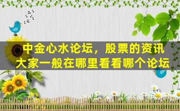 中金心水论坛，股票的资讯大家一般在哪里看看哪个论坛