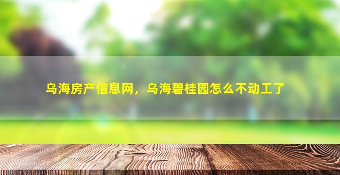 乌海房产信息网，乌海碧桂园怎么不动工了