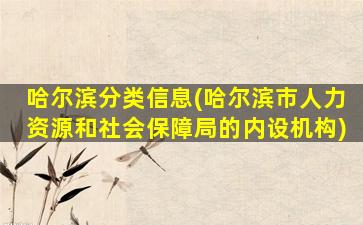 哈尔滨分类信息(哈尔滨市人力资源和社会保障局的内设机构)