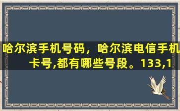 哈尔滨手机号码，哈尔滨电信手机卡号,都有哪些号段。133,153,189的。