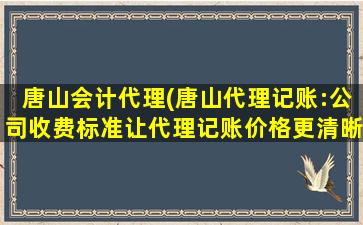 唐山会计代理(唐山代理记账：*收费标准让代理记账价格更清晰)