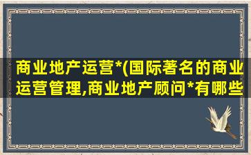 商业地产运营*(国际著名的商业运营管理,商业地产顾问*有哪些)