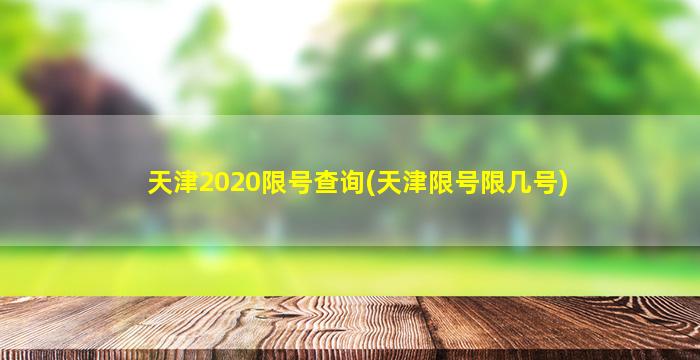 天津2020限号查询(天津限号限几号)