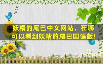 妖精的尾巴中文网站，在哪可以看到妖精的尾巴国语版!