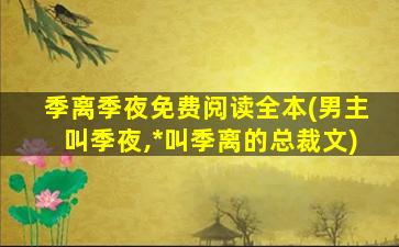 季离季夜免费阅读全本(男主叫季夜,*叫季离的总裁文)