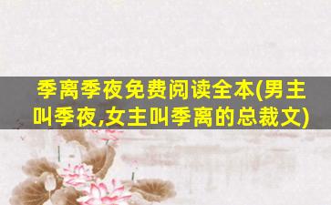 季离季夜免费阅读全本(男主叫季夜,*叫季离的总裁文)