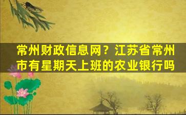 常州财政信息网？江苏省常州市有星期天上班的农业银行吗