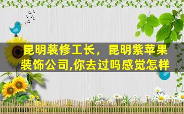 昆明装修工长，昆明紫苹果装饰*,你去过吗感觉怎样