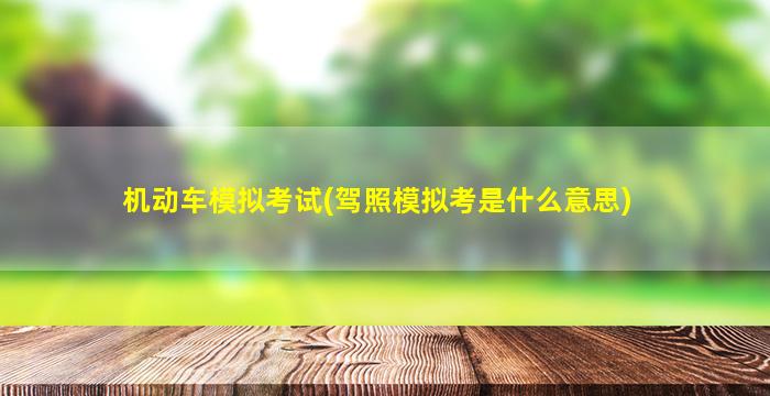 机动车模拟考试(驾照模拟考是什么意思)