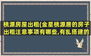 桃源房屋出租(金星桃源居的房子出租注意事项有哪些,有乱搭建的现象吗)