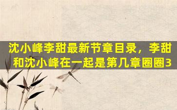 沈小峰李甜最新节章目录，李甜和沈小峰在一起是第几章圈圈3