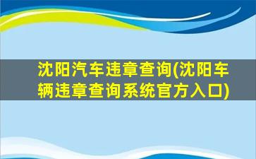 沈阳汽车违章查询(沈阳车辆违章查询系统官方入口)