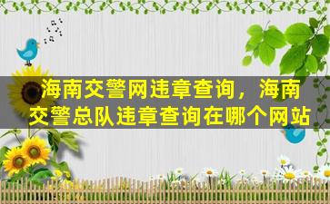海南交警网违章查询，海南交警总队违章查询在哪个网站