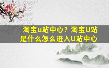 淘宝u站中心？淘宝U站是什么怎么进入U站中心
