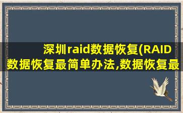 深圳raid数据恢复(RAID数据恢复最简单办法,数据恢复最好的*)插图