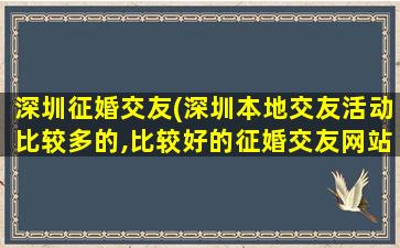 深圳征婚交友(深圳本地交友活动比较多的,比较好的征婚交友网站是)