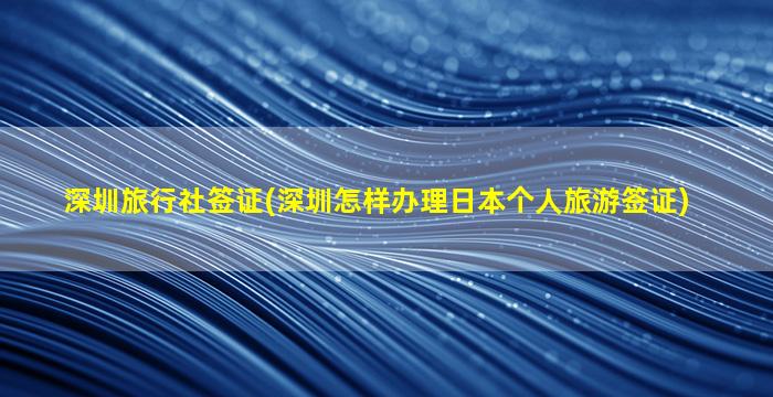 深圳旅行社签证(深圳怎样办理日本个人旅游签证)