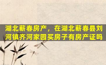 湖北蕲春房产，在湖北蕲春县刘河镇齐河家园买房子有房产证吗插图