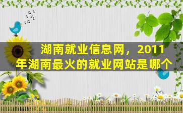 湖南就业信息网，2011年湖南最火的就业网站是哪个