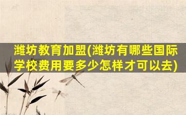 潍坊教育加盟(潍坊有哪些国际学校费用要多少怎样才可以去)