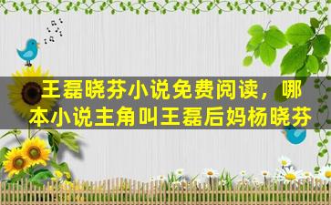 王磊晓芬小说免费阅读，哪本小说主角叫王磊后妈杨晓芬