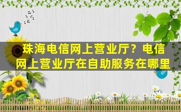 珠海电信网上营业厅？电信网上营业厅在自助服务在哪里