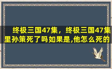 终极三国47集，终极三国47集里孙策*了吗如果是,他怎么*的(详细说明)