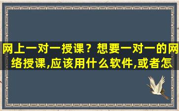 网上一对一授课？想要一对一的网络授课,应该用什么软件,或者怎么*作