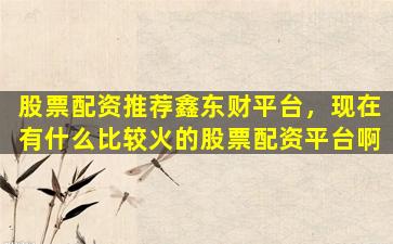 股票配资推荐鑫东财平台，现在有什么比较火的股票配资平台啊