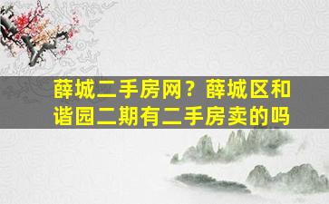 薛城二手房网？薛城区和谐园二期有二手房卖的吗