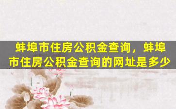 蚌埠市住房公积金查询，蚌埠市住房公积金查询的网址是多少插图