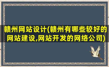 赣州网站设计(赣州有哪些较好的网站建设,网站开发的网络*)