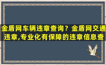 金盾网车辆违章查询？金盾网交通违章,专业化有保障的违章信息查询网站