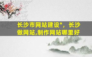 长沙市网站建设*，长沙做网站,制作网站哪里好