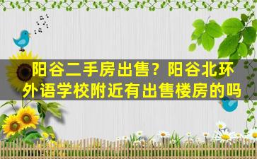 阳谷二手房*？阳谷北环外语学校附近有*楼房的吗