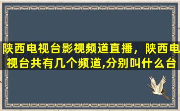 陕西电视台影视频道直播，陕西电视台共有几个频道,分别叫什么台号