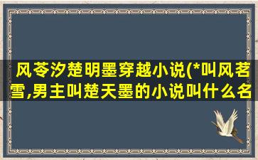 风苓汐楚明墨穿越小说(*叫风茗雪,男主叫楚天墨的小说叫什么名)插图