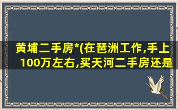 黄埔二手房*(在琶洲工作,手上100万左右,买天河二手房还是黄埔、番禺)