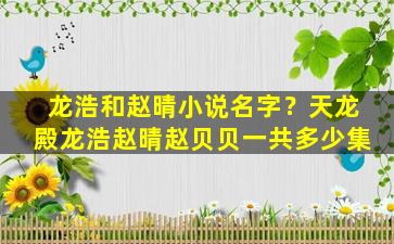 龙浩和赵晴小说名字？天龙殿龙浩赵晴赵贝贝一共多少集
